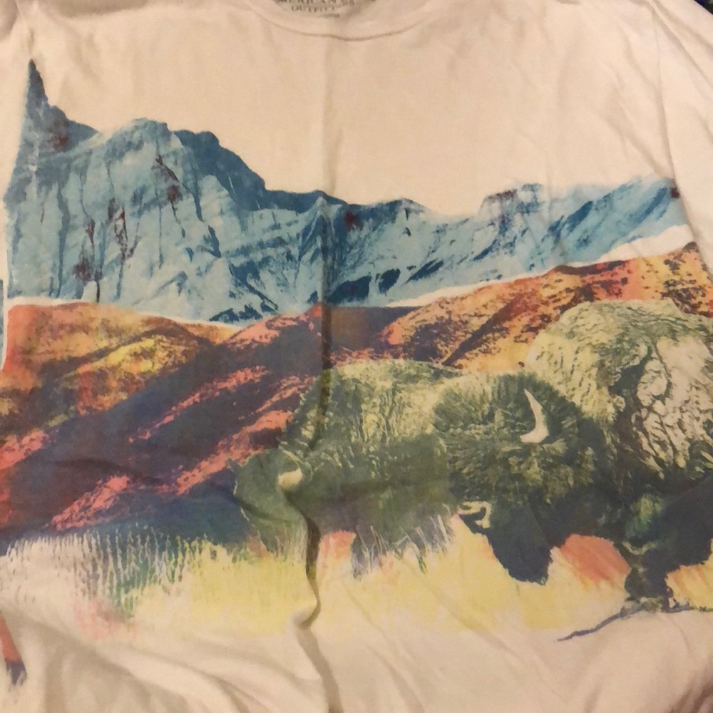 American Eagle graphic tee